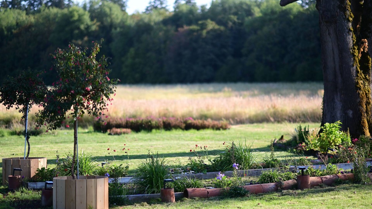 Cornelius Other | Farm Pottery House in 84 acres Land in Cornelius/Hillsboro
