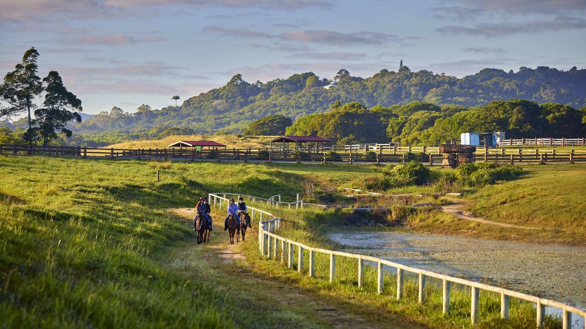 Kuranda Cabin | Farm Stay! Fun activities for the whole family-35 minutes from Cairns CBD