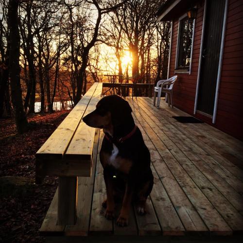 Veberod House | Farm Stay Happy Dogs Ranch