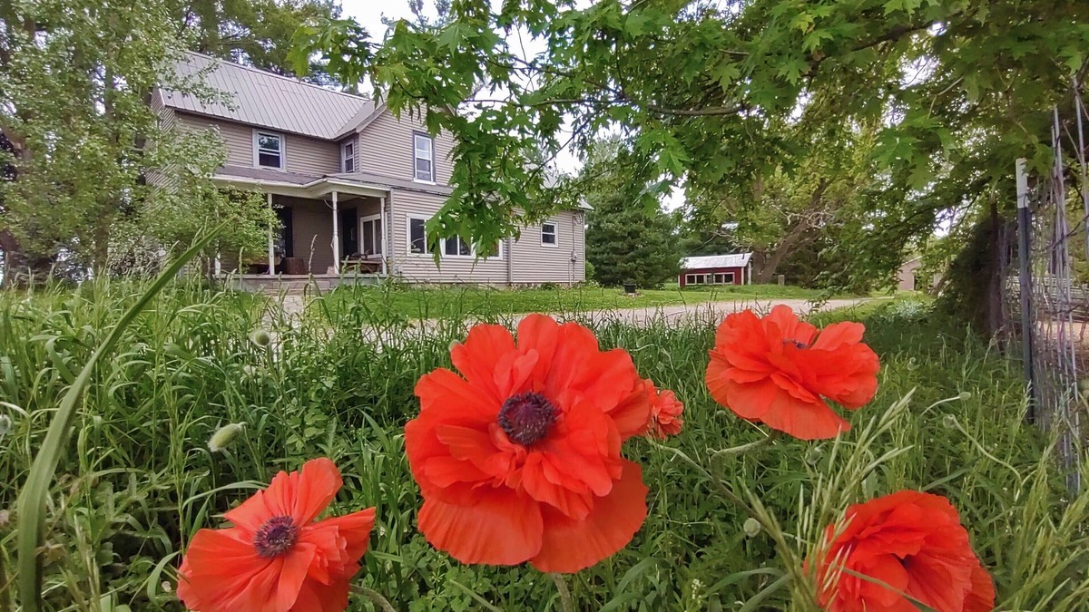 Rockfield Other | Farm to Folklore - Fairytale Farmhouse