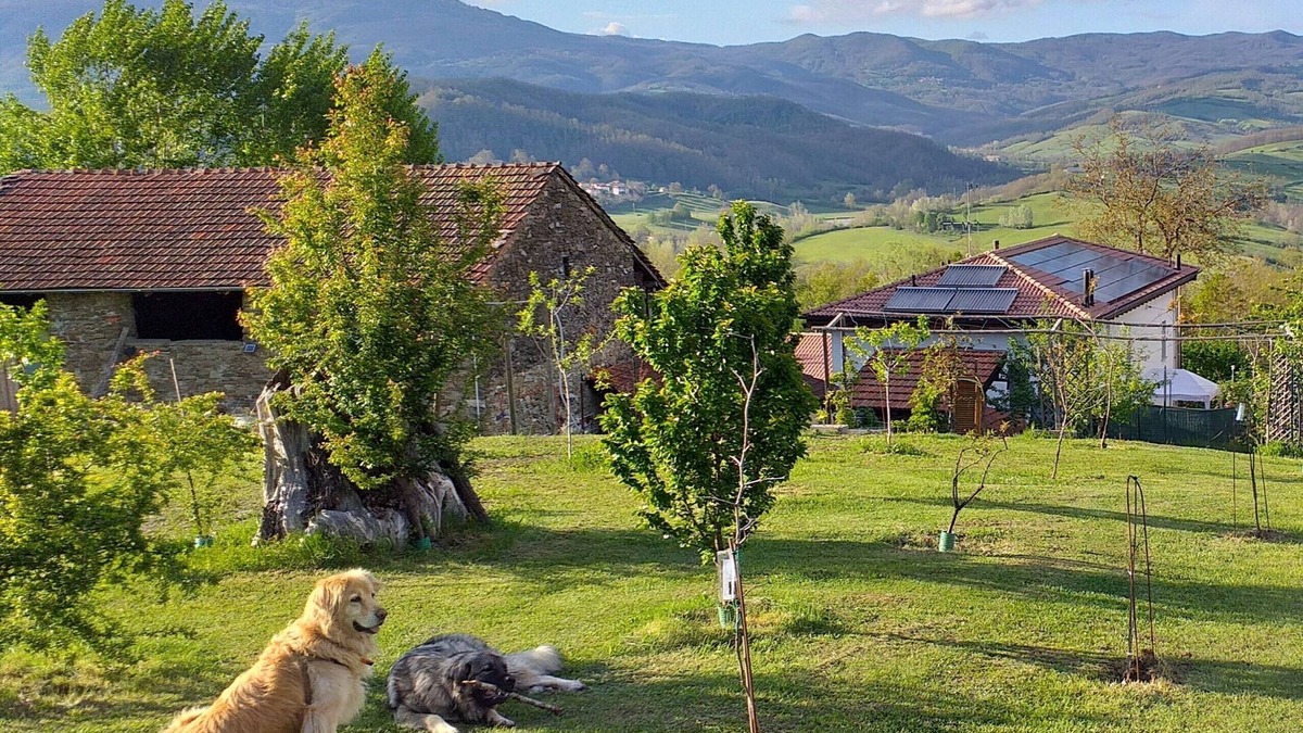 Albareto Apartment | FARM WITH ENCLOSED GARDEN SURROUNDED BY THE WOODS FOR WALKING VIEWS