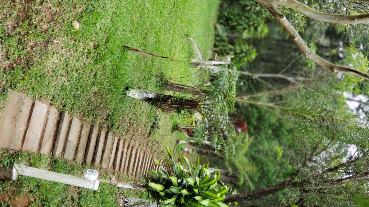 Suzano House | Farm with pool, barbecue and lots of green.