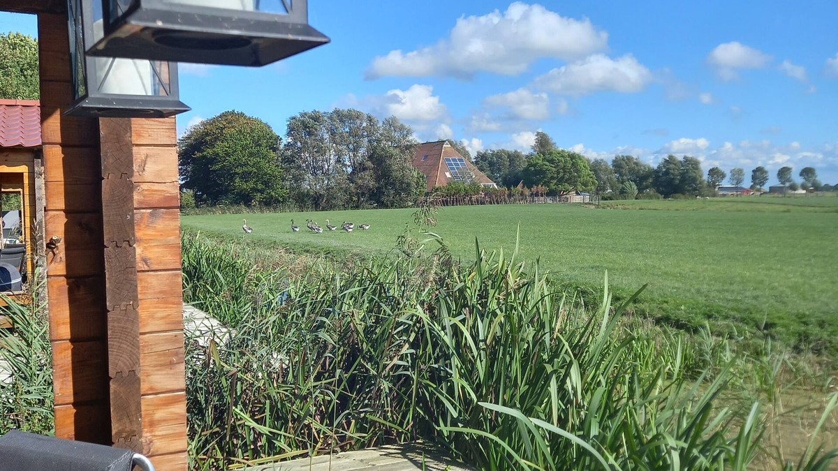 Hitzum Cottage | Farmguesthouse jetske, located at a dairy farm with a view and a private jacuzzi.