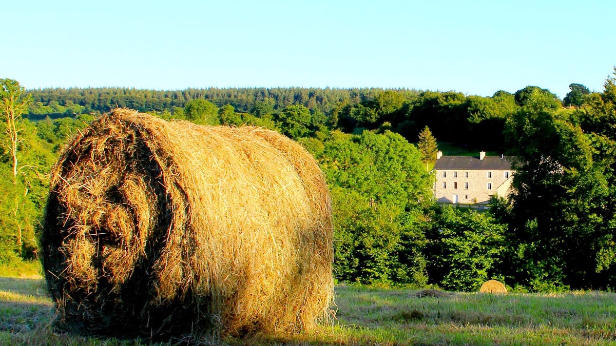 Saint-Sauveur-le-Vicomte House | Farmhouse Le Pont D'Albart in beautiful countryside near uncrowded beaches