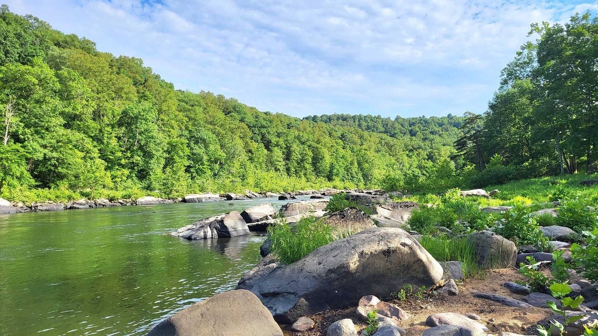 Moatsville Other | Farmhouse amidst Appalachian peace & tranquility & views! Pet-friendly!