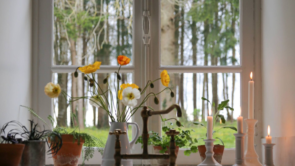 Courgeout House | Farmhouse in a private forest