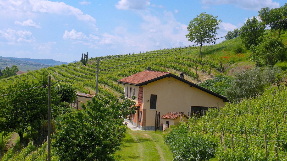 Nizza Monferrato House | FARMHOUSE IN THE MIDDLE OF THE VINEYARDS IN NIZZA MONFERRATO