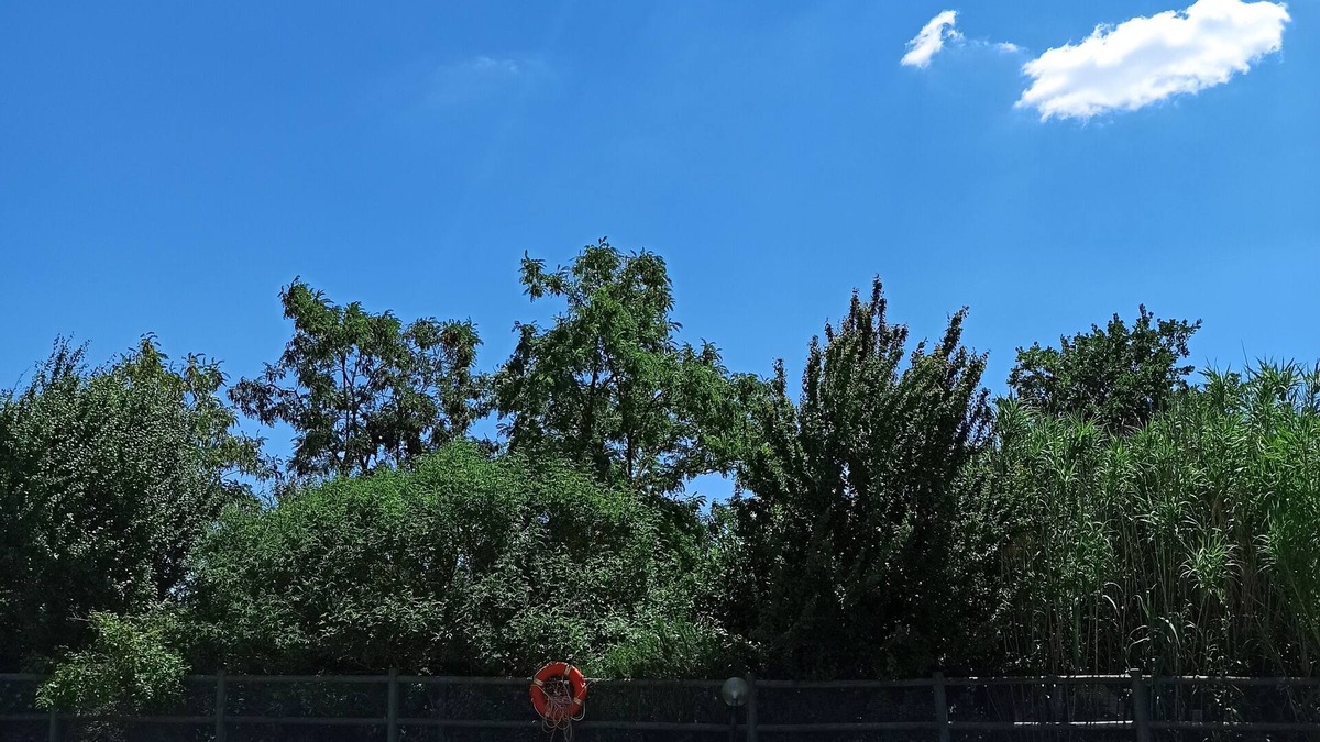 Sovicille Other | Farmhouse in the hills of Siena, exclusive use with pool, large garden, A/C, 8p
