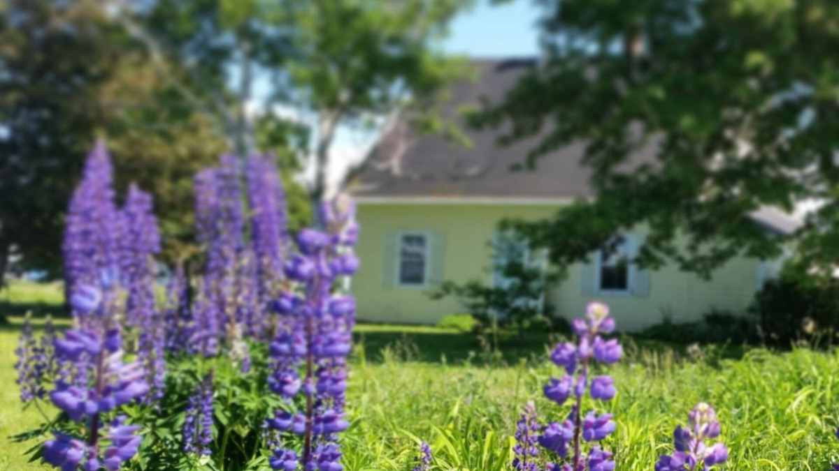 White Sands Cottage | Farmhouse on the sea