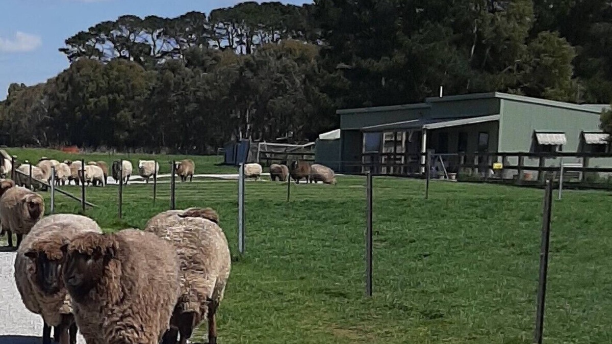 Taralga Cottage | Farmstay at Fleece, Flock & Fibre an historic railway station in Taralga