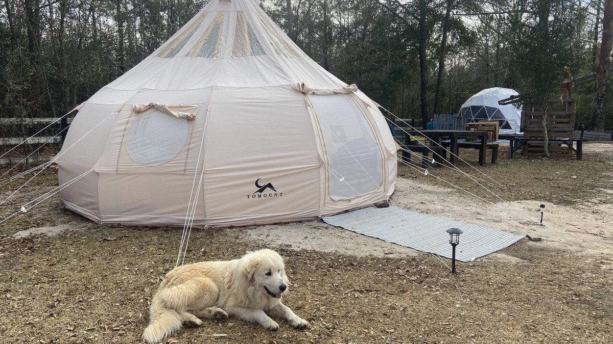 Tallahassee RV Rental | Farmstay Glamping AGRItourism retreat-HERSHEYS HUT-cows, chicks, goat, minihorse
