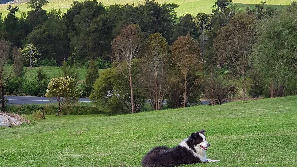 Brogo Other | Farmstay overlooking the Brogo River River with views of Mt Mumbulla.