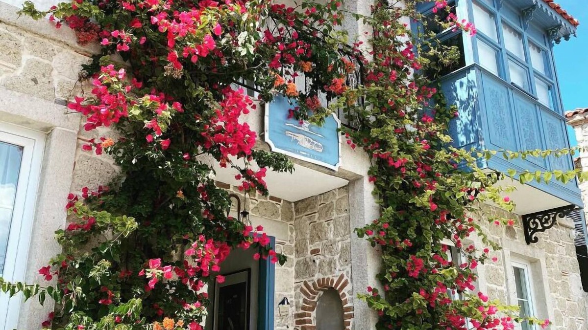 Tokoglu Hotel | Faro Alacati