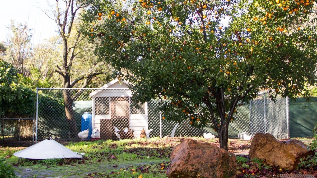 Pickering Brook Cottage | Farview Guest Accommodation