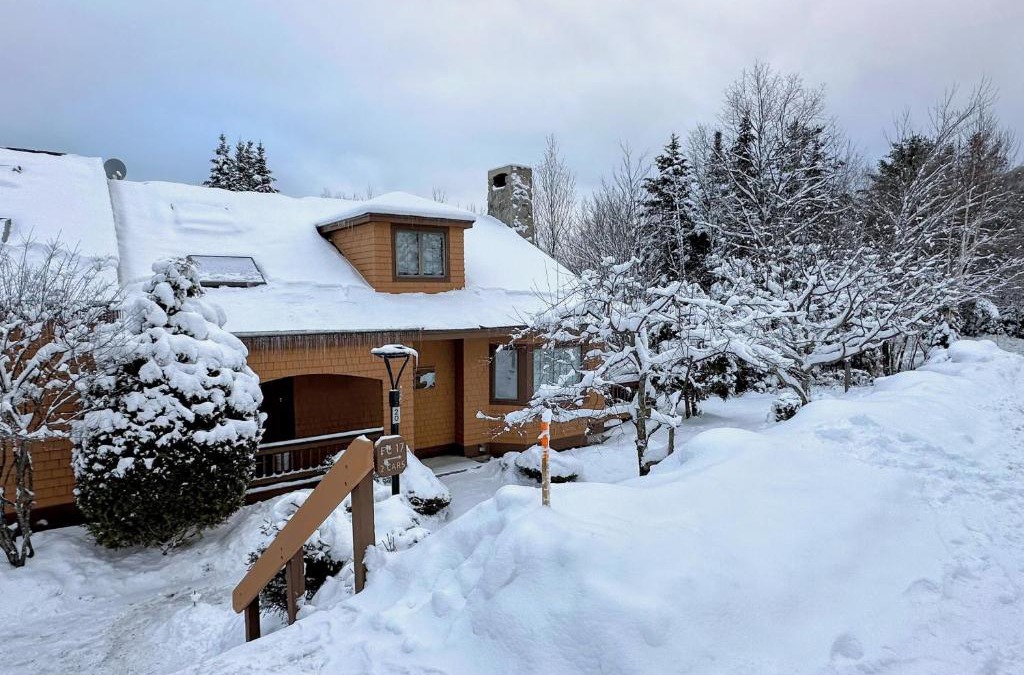 Bretton Woods Apartment | FC17 Stylishly renovated Forest Cottage walk to Bretton Woods ski trails wifi cable ping pong