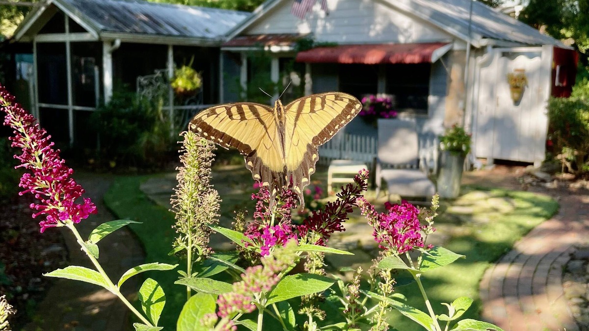 Hendersonville Cottage | FEATHERSTONE! Unique Cottage Getaway in Hendersonville, N.C.