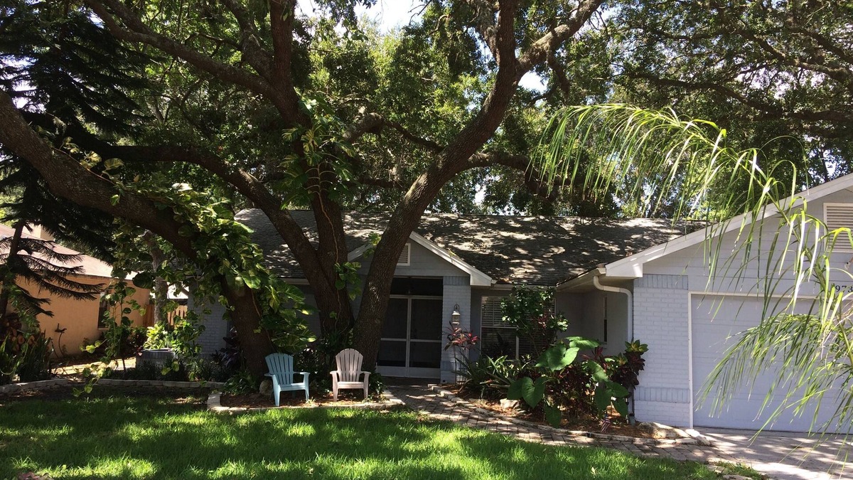 New Port Richey House | Fenced Private Heated Pool and Pet-Friendly