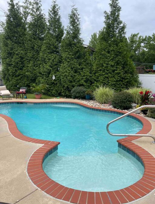 Fenton Apartment | Fenton Oasis