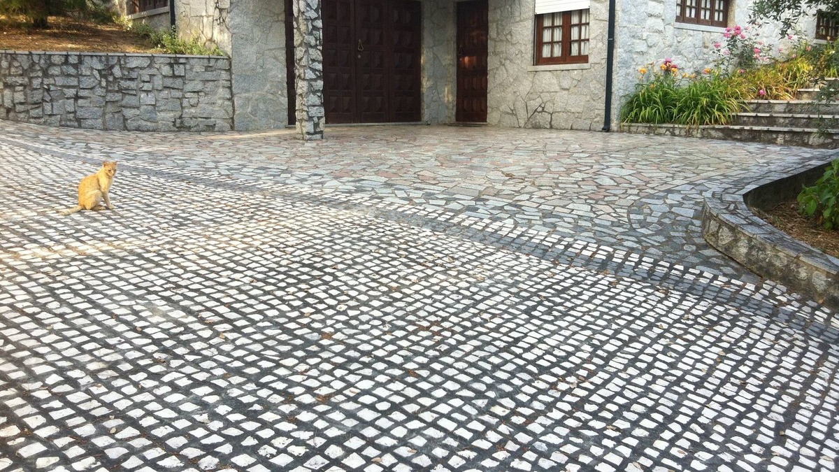 Arganil House | Ferias em Arganil, Praias Fluviais, Floresta e Aldeias do Xisto