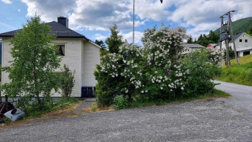 Vanylven House | Feriehus Voldstad