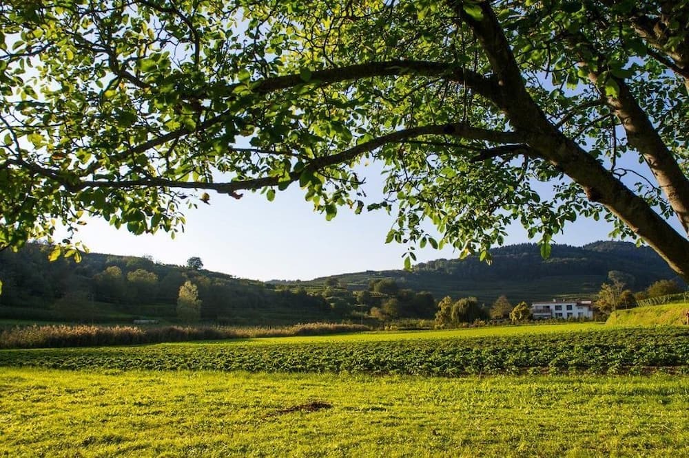 Boetzingen Apartment | Ferienwohnung Schambachhof, 50 qm mit Terrasse und 1 Schlafraum für max. 2 Erw. und 2 Kinder