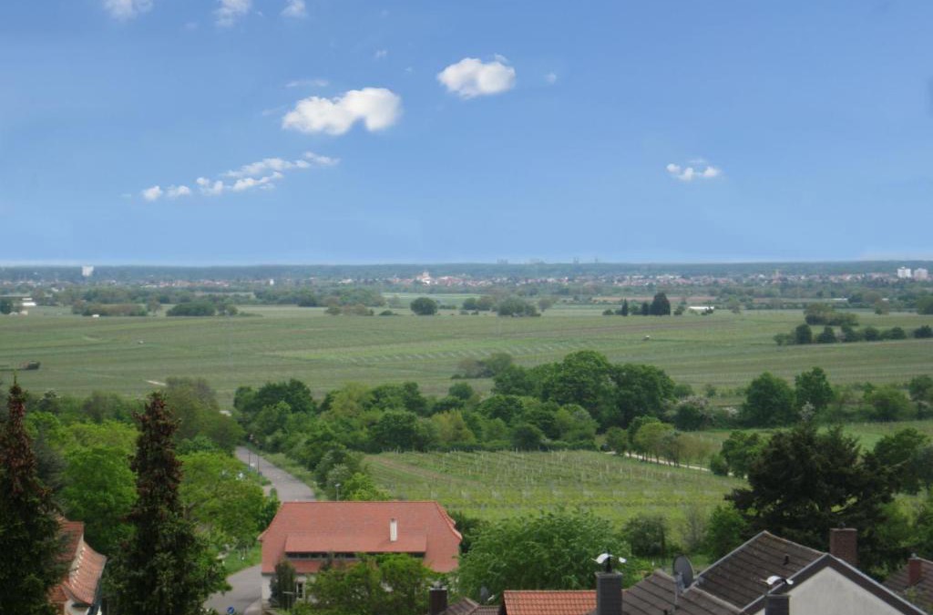 Neustadt-Gimmeldingen Apartment | Ferienwohnung Buenavista