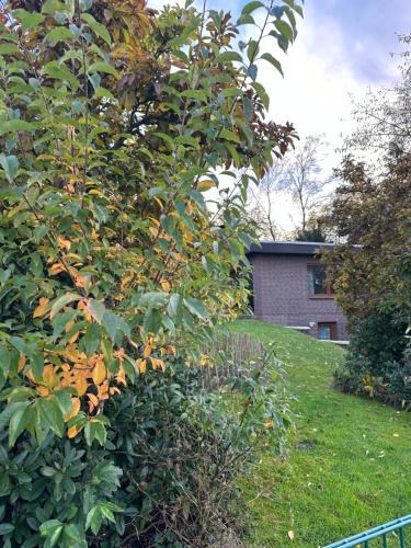 Wildeshausen Apartment | Ferien ind Monteur Wohnung Maiglöckchen mit 2 Schlafzimmern