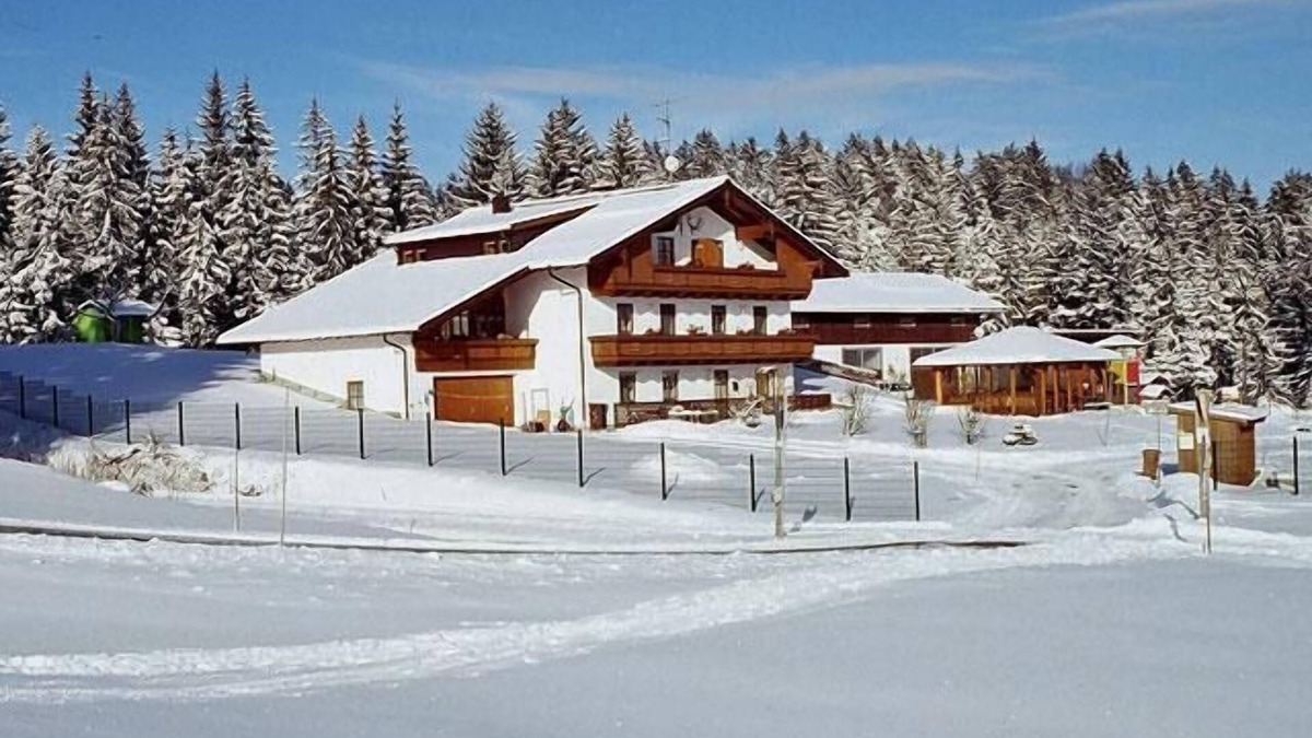 Neureichenau Apartment | Feriendomizil mit Balkon inmitten des Bay. Waldes