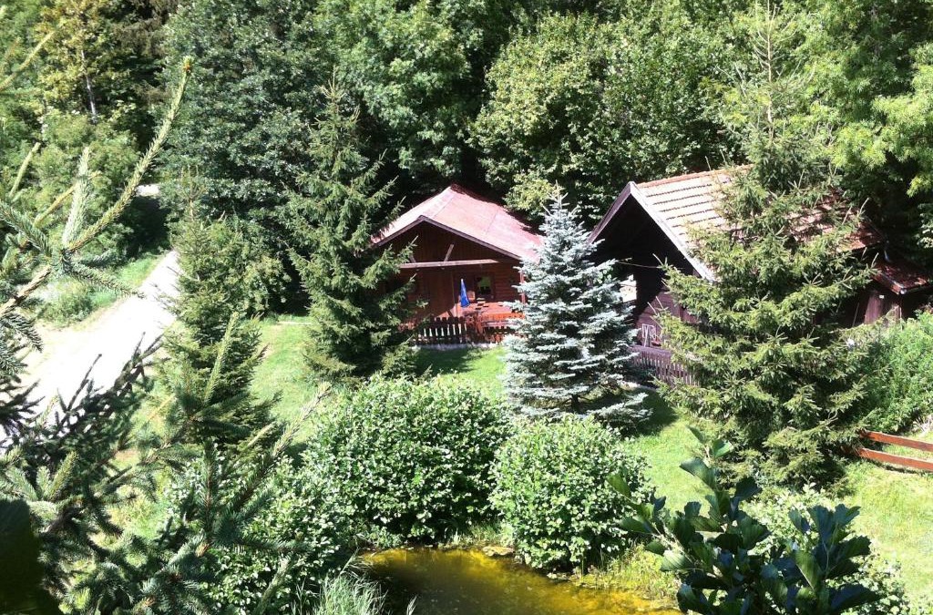 Rossleithen Ski Chalet | Ferienhütten Brandtner