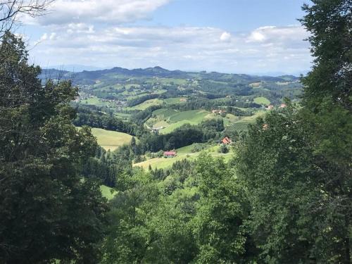 Fotschach House | Ferienhaus am Weinberg