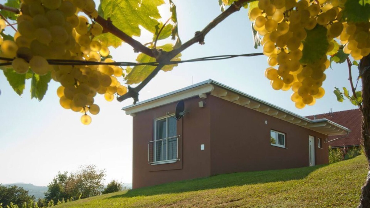Johnsdorf-Brunn Other | Ferienhaus "das Nussberg" - ab 4 Nächte - Ferienhäuser im Weingarten
