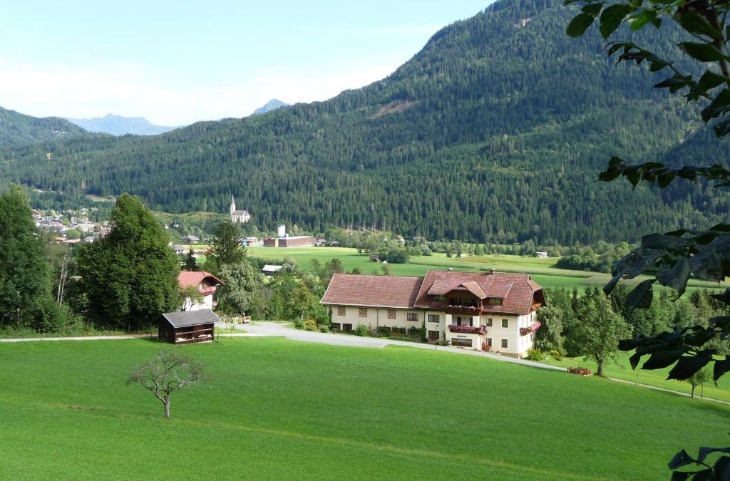 Gitschtal Apartment | Ferienhaus Enzi