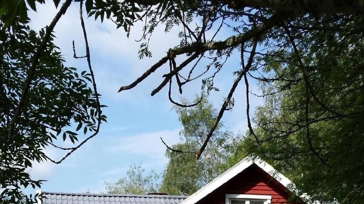 Molltorp Other | Ferienhaus für 6 Gäste mit 80m² in Mölltorp