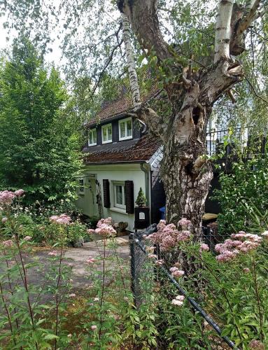 Schladern House | Ferienhaus Fuchs&Hase