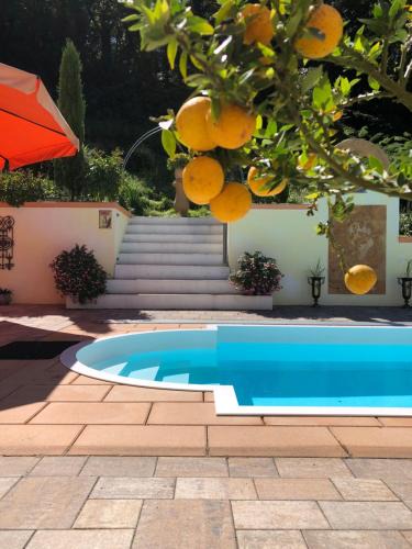 Oberdorla House | Ferienhaus mit Pool im Seußlitzer Grund