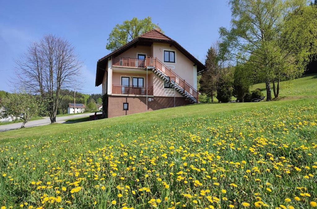 Barnkopf Apartment | Ferienhaus Schöller