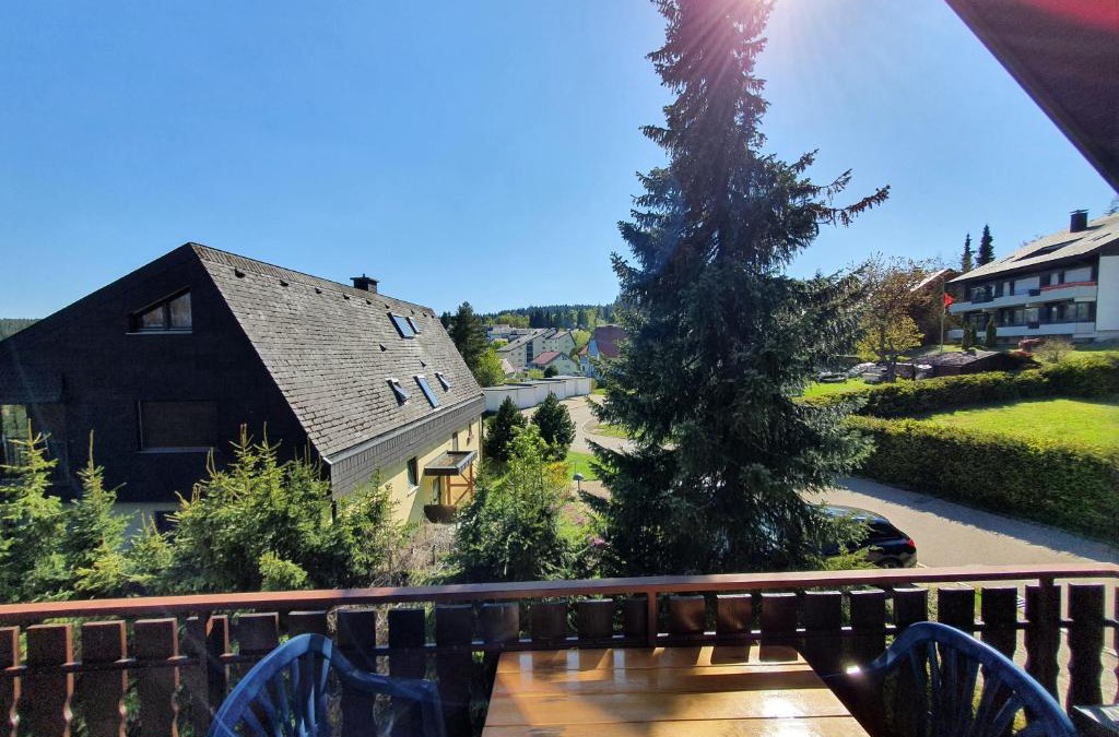 Schoenwald Apartment | Ferienhaus-Schönwald im Herzen des Schwarzwaldes 2-Zimmer-Maisonette-Wohnung mit Balkon App 12