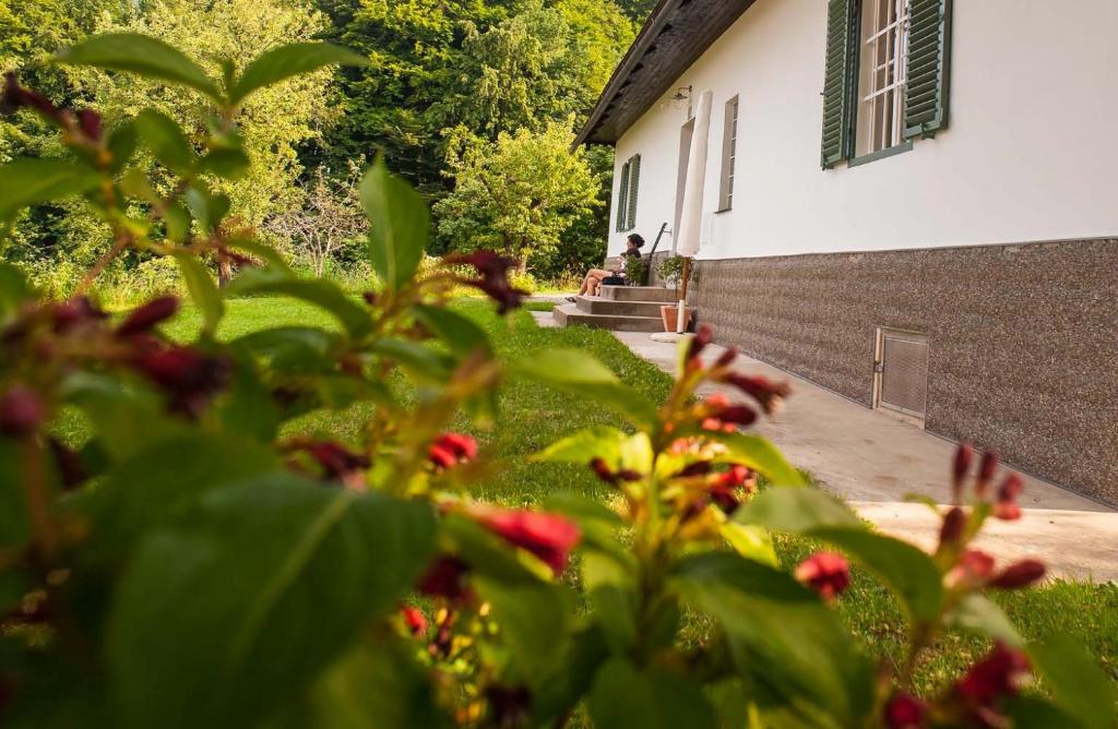 Glanz an der Weinstrasse House | Ferienhaus Vogeljager
