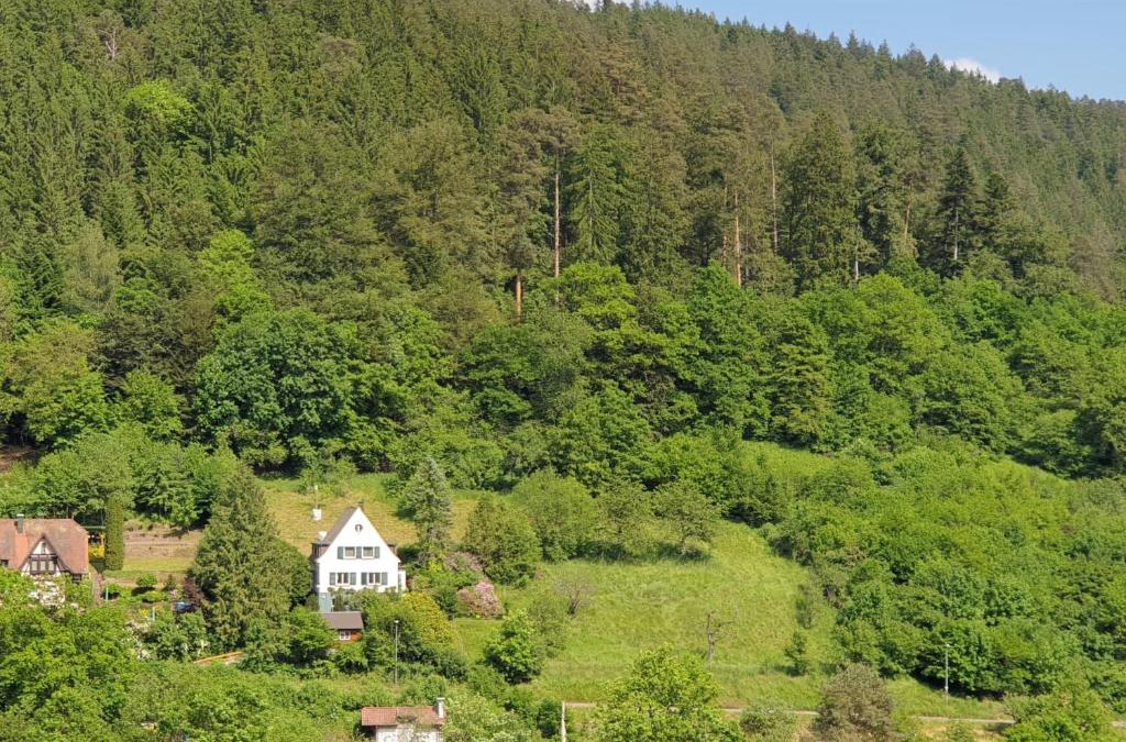 Calw House | Ferienhaus Waldglück
