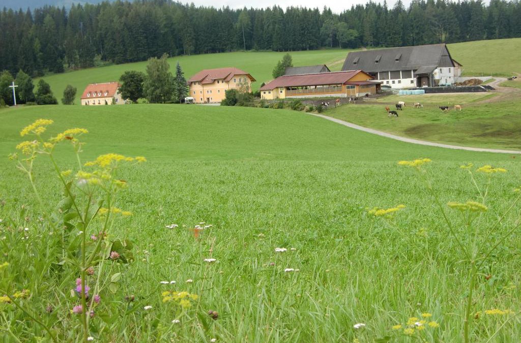 Mariahof House | Ferienhaus Wohleser