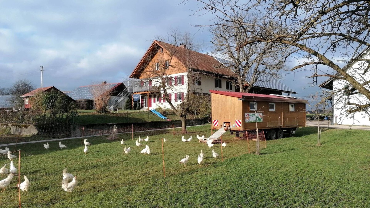 Grunkraut Condo | Ferienhof Kornmayer Nat(UR)laub auf dem Bauernhof Holiday apartment 1 (ground floor) Apple