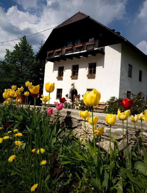 Vorderstoder House | Ferienhof Rotbuchner
