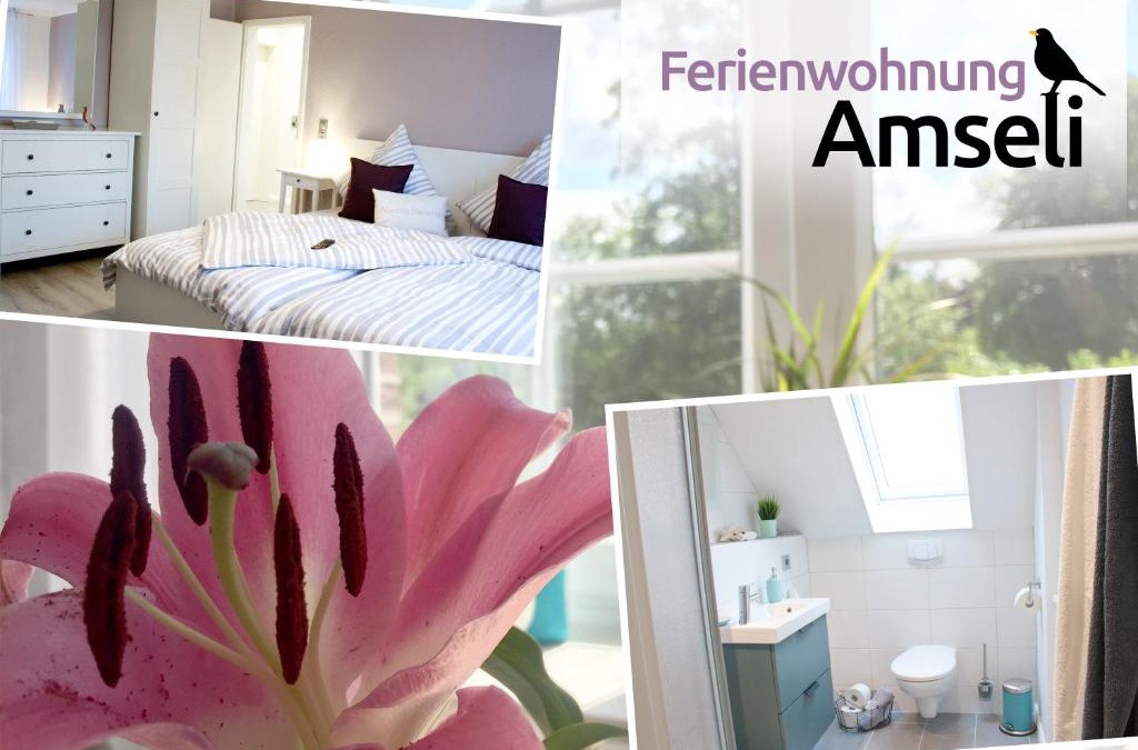 Niendorf Apartment | Ferienwohnung Amseli
