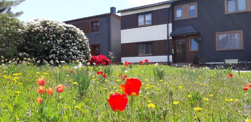 Meuselbach Apartment | Ferienwohnung Berndt