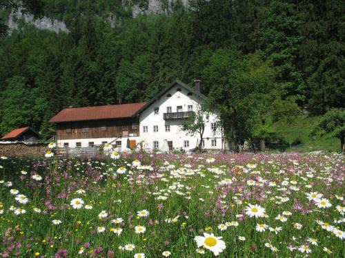 Golling an der Salzach Apartment | Ferienwohnung Bluntaumühle