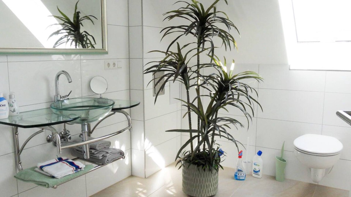 Pfrondorf Apartment | Ferienwohnung 1A, 67qm, Sonnenterrasse mit Liege, 1 Wohn-/Schlafzimmer, max. 2 Personen