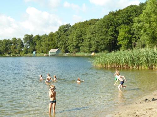 Dummer Apartment | Ferienwohnung am Dümmer See