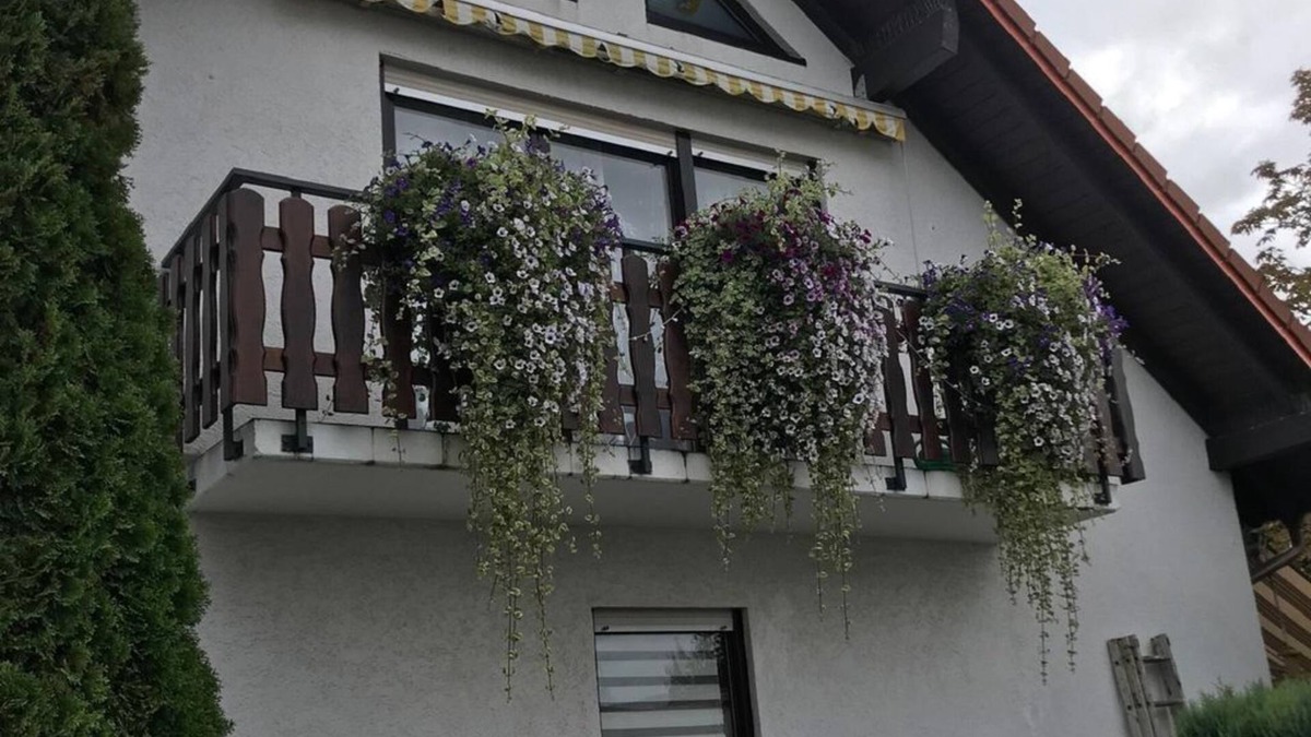 Langenlonsheim Apartment | Ferienwohnung am Weinberg - Holiday apartment with terrace in the garden