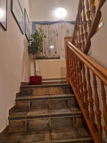 Wald Apartment | Ferienwohnung am Stadtrand
