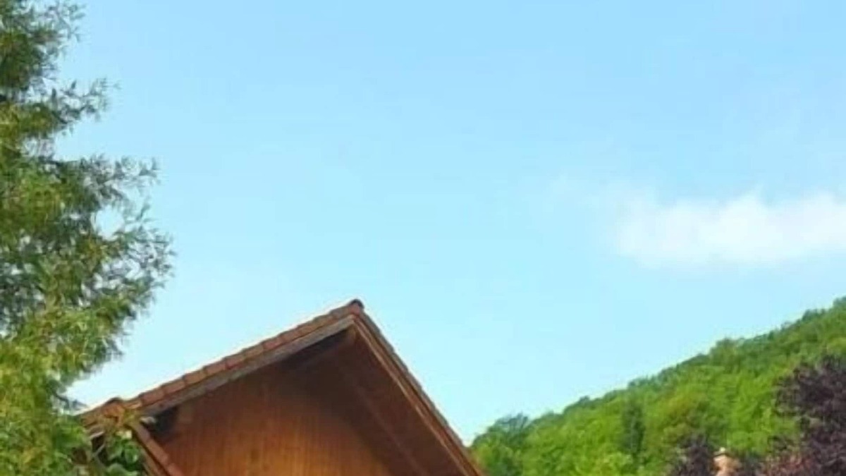 Bad Ditzenbach Apartment | Ferienwohnung/app. für 5 Gäste mit 68m² in Bad Ditzenbach